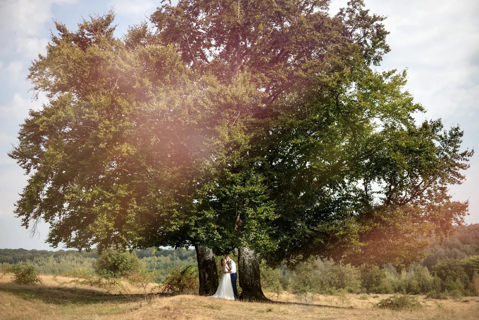 Nuntă — fotografie 9